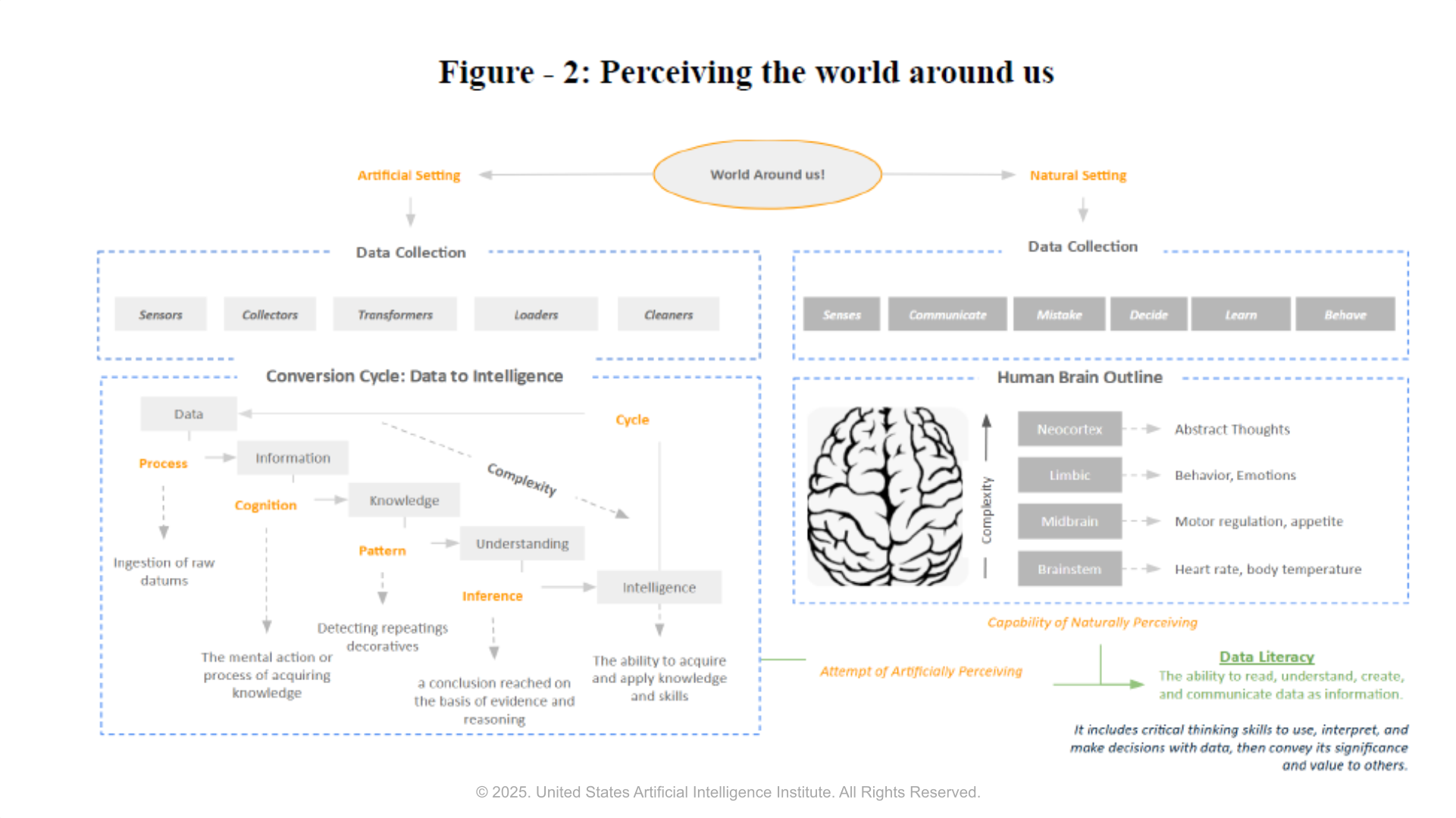 Data Literacy