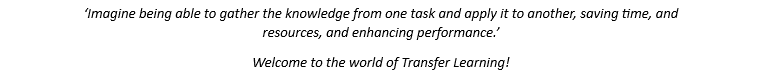 Welcome to the world of Transfer Learning